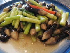 -中苑海韵
