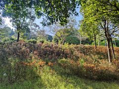 -华南师范大学(广州大学城校区)