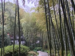 -杭州黄龙洞