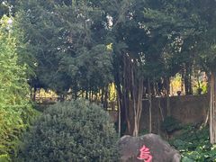 -乌山风景区