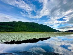 -腾冲北海湿地