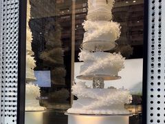 -BLACKSWAN黑天鹅(新希望店)