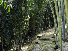-蜀南竹海景区