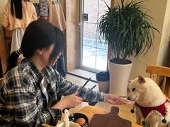-柴の食堂·日式家庭料理·熊之肆(大学路店)