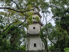 -江心屿景区