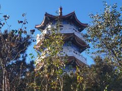 -北京十三陵国家森林公园蟒山景区