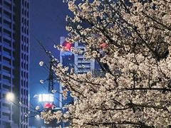 -西北湖绿化广场