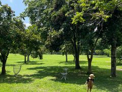 -福建鲤鱼洲酒店