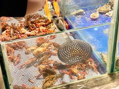 -海天牧场(银川商城店)