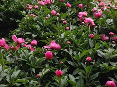 -东方饺子王(创始店)