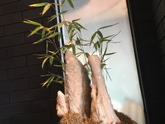 -望湘园·洞庭渔宴(浦江欢乐颂店)