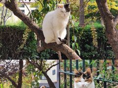 -防灾科技学院(南校区)