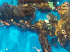 -大润发(花都店)