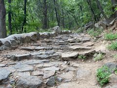 -阳台山自然风景区