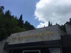 -井冈山革命烈士陵园