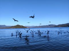 -丽江泸沽湖景区