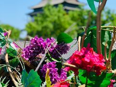 -火燒雲傣家菜(鼓楼店)