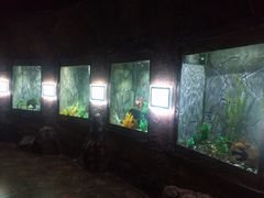 -富国岛珍珠游乐园