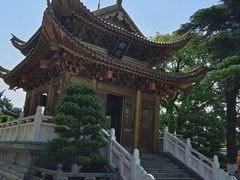 -上海东林寺(金山区)