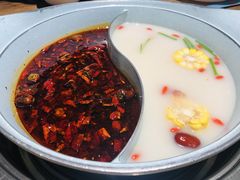 -青瓷火锅料理(西单大悦城店)