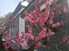 -东湖生态旅游风景区
