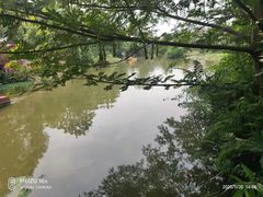 -蜀水别园(青杠树店)