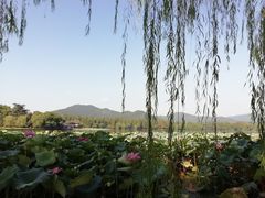 -苏堤停车场