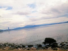 -福田红树林生态公园