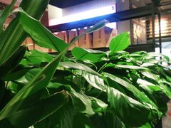 -管氏翅吧(台湾街店)