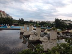 picture-三亚亚龙湾凯莱仙人掌度假酒店