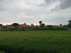 -Warung Nia Balinese Food & Pork Ribs
