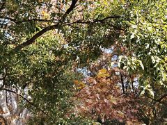 -共青国家森林公园-南大门停车场