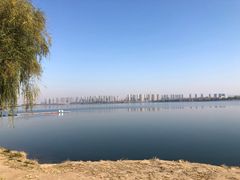 -丁香湖公园