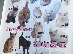 -Heymao猫咖.咖啡厅(东门店)