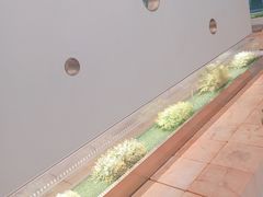 -喜茶(永旺梦乐城店)