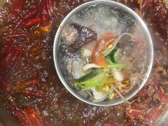-堂客老火锅(欣阳广场总店)