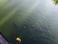 iphone_upload_pic-北京民族园葉子里酒店(鸟巢店)