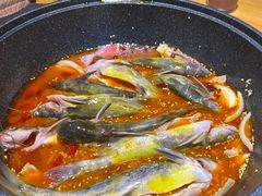 -小小河边鱼(天润城店)