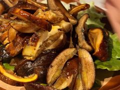 -阿山卓·野生菌火锅·纳西火塘烤肉