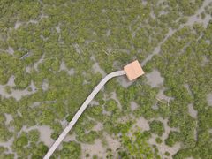 -北海金海湾红树林生态旅游区
