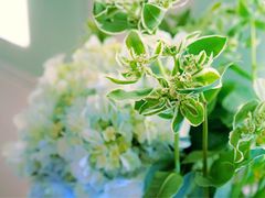 -爱尚花坊(大林路店)