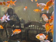 -Lamant Manor已闻花名关於蓝