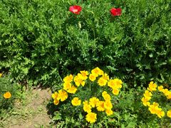 -国家植物园南园