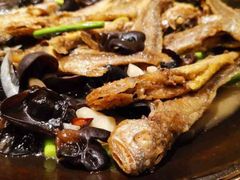 -洛阳面馆(红专路店)