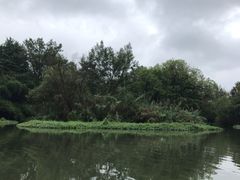 -摇橹船上船码头