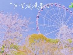 -顾村公园