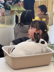 -Moni星球萌宠·小马宝莉·灵蛇·高端高阶全萌宠互动体验俱乐部(红豆国际广场店)