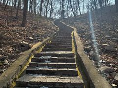 -镇江市南山风景名胜区竹林景区