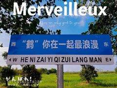 -盐城丹顶鹤湿地生态旅游区