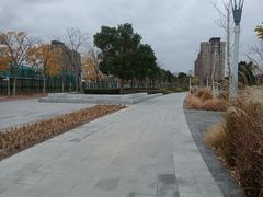 -高行绿洲六期